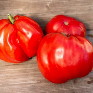 СЕРДЦЕ БЫКА ИЗ НИЦЦЫ Coeur de Boeuf de Nice