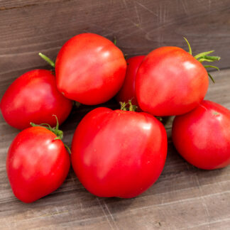 БЫЧЬЕ СЕРДЦЕ ИЗ ШАНСИ COEUR DE BOEUF DE CHANCY