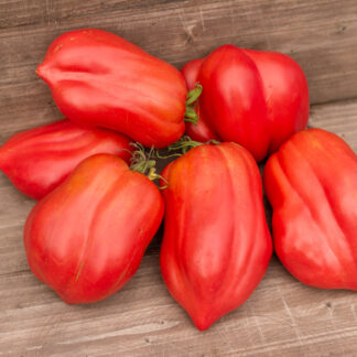 СЕРДЦЕ МАРТЫ Martha’s heart