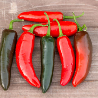 СЕРРАНО Serrano