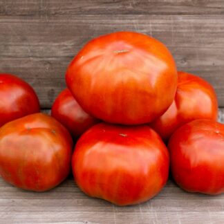 СГОРЕВШЕЕ СЕРДЦЕ СИЕННЫ Burnt Sienna Heart