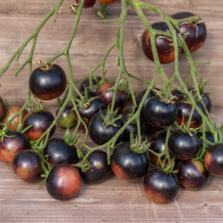 ШОКОЛАДНЫЙ ПОДАРОК