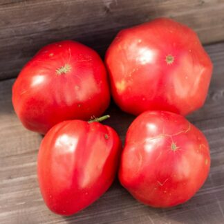 СИЯЙ КАК ЗВЕЗДЫ Brilla Come le Stelle