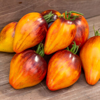 СЛАДКАЯ КАРАМЕЛЬ СОФИИ