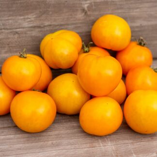 СЛАДКАЯ САЦУМА Dwarf Sweet Satsuma