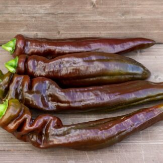 ШОКОЛАДНАЯ ПАПРИКА Spitzpaprika Chocolate