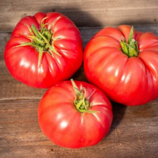 СЫЗРАНСКАЯ ПЛЮШКА