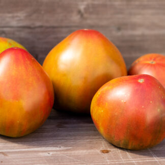 ТАЙГА (TAIGA), КАНАДА