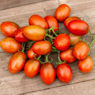 ТАМБЛИНГ ТАЙГЕР   Tumbling Tiger