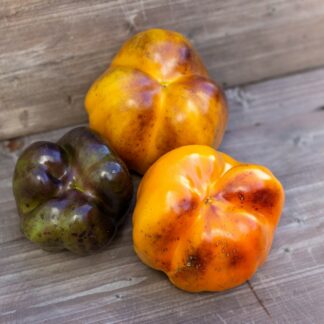 ТЕПЕРО   Tepero