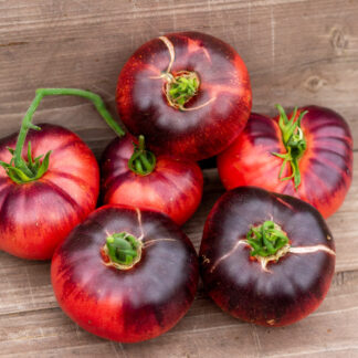 УЛИЦЫ РАЗБИТЫХ ФОНАРЕЙ