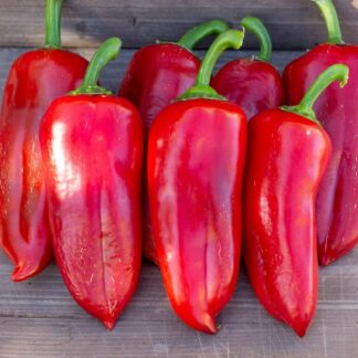 ВЕНГЕРСКАЯ ПАПРИКА БОЛДОГ Boldog Hungarian Spice Paprika