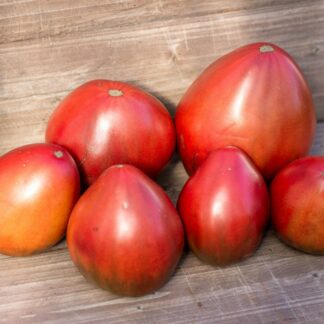 ЯПОНСКОЕ СЕРДЦЕ