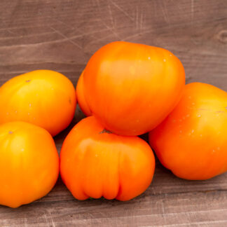 ЯРСОН 11/1 Jarson 11/1