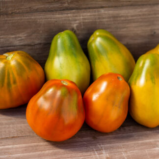 ЯРСОН 13 Jarson 13