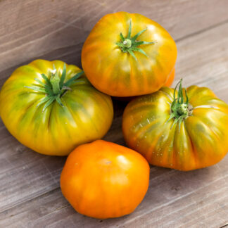 ЯРСОН 17 Jarson 17