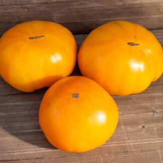 ЗАВТРАК КЕЛЛОГА  Kellogg's Breakfast