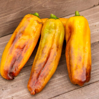 ЖЕЛТО ФИОЛЕТОВЫЙ КОГОТЬ Unghie Giallo Violacee