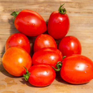 КОБЗАРЬ ТАРАСЕНКО