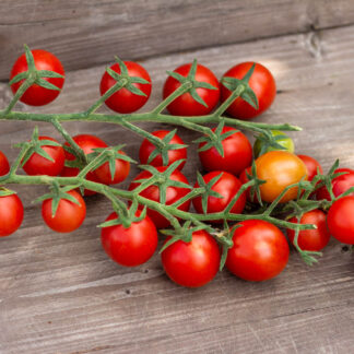 АНАБЕЛЬ  Anabelle