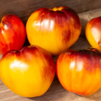 АНАНАСНЫЙ СЕРЖАНТ