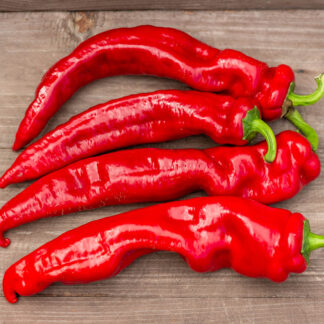 БАРАНИЙ РОГ