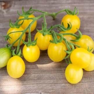 БЕЛЫЕ КЛАВИШИ White Keyes