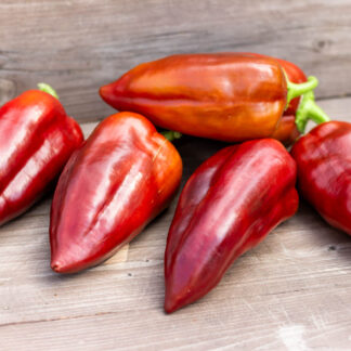 ТЕМНОЕ ПЛАМЯ Black Fire