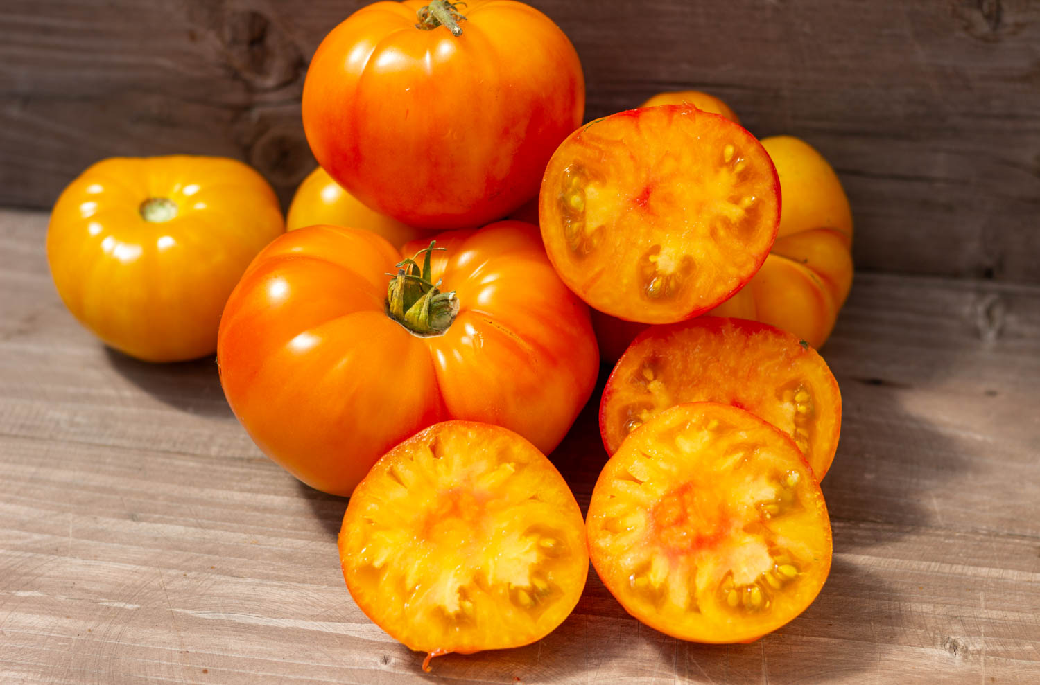 БОЙД СМИТ Dwarf Boyd Smith — изображение 3