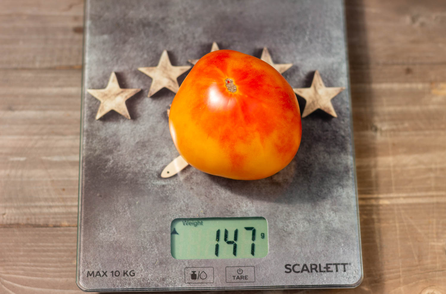 БОЙД СМИТ Dwarf Boyd Smith — изображение 2