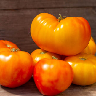 БОЙД СМИТ Dwarf Boyd Smith