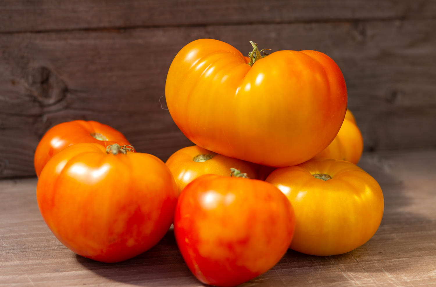 БОЙД СМИТ Dwarf Boyd Smith