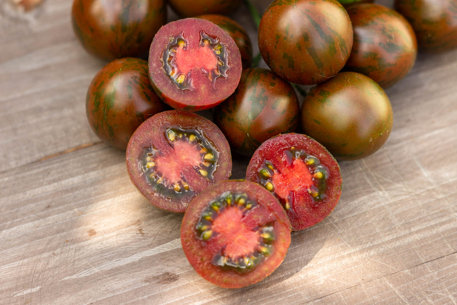 ЧЕРНАЯ ВИШНЯ ТУРЦИИ Ciliegino nero di turchia — изображение 3