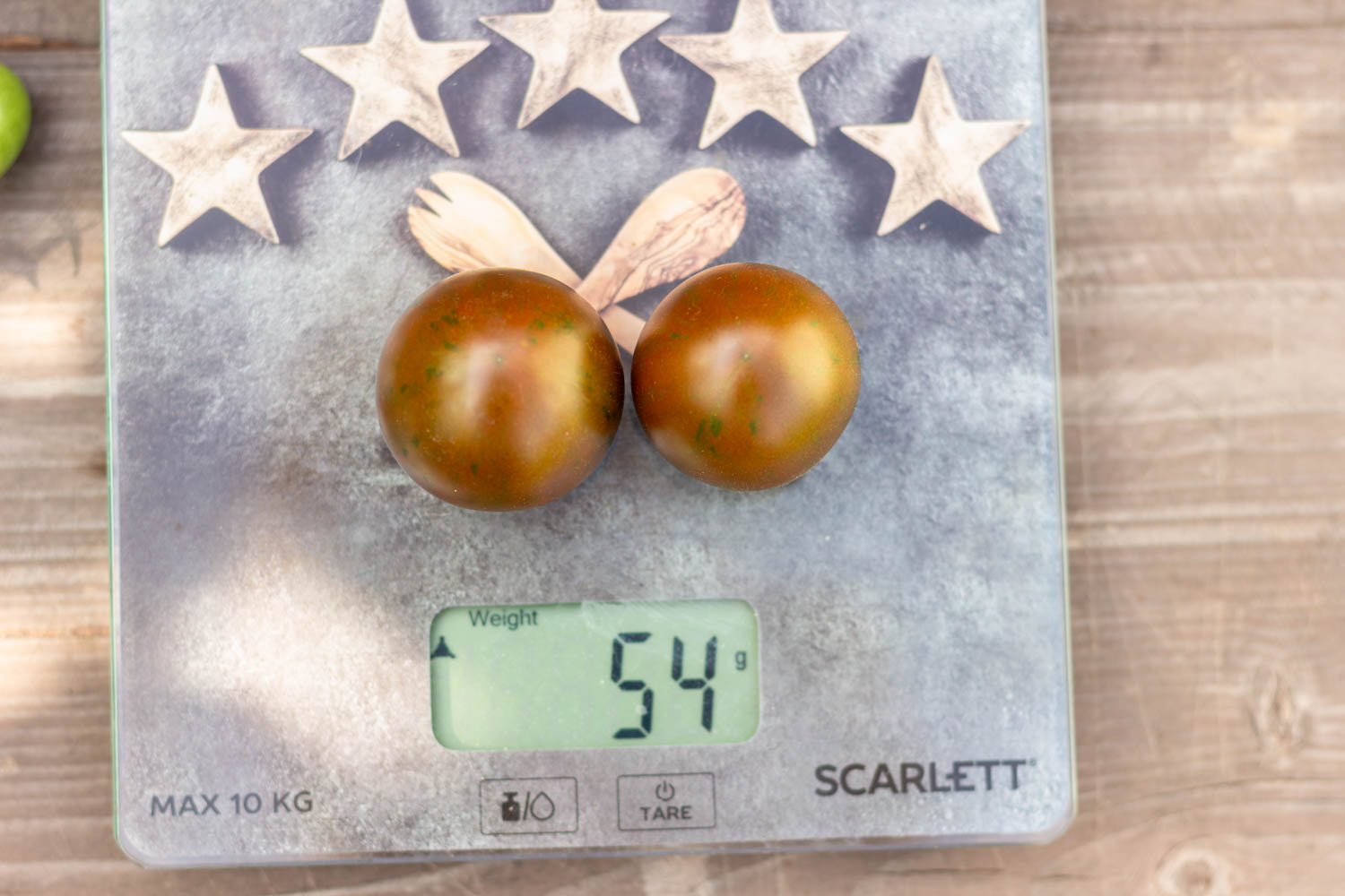 ЧЕРНАЯ ВИШНЯ ТУРЦИИ Ciliegino nero di turchia — изображение 2