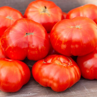 БОЛЬШОЙ ТИГР ЧЕРОКИ Dwarf Cherokee Tiger Large