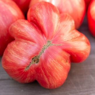 ДОЛГОВЯЗАЯ САЛЛИ Long Tall Sally