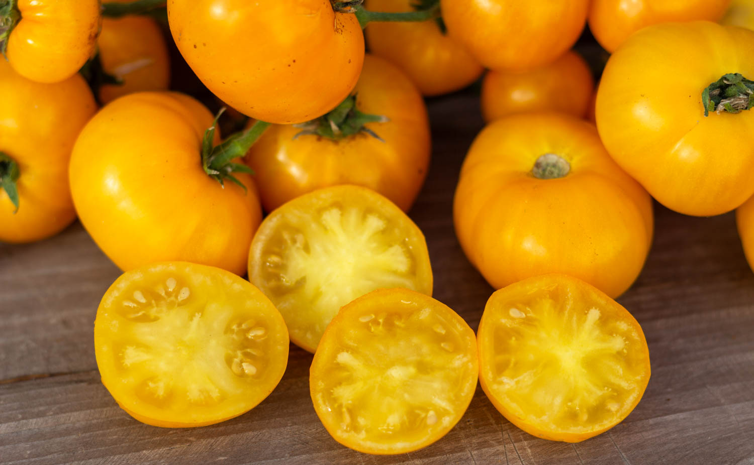 ДОРОГА ИЗ ЖЕЛТОГО КИРПИЧА Dwarf Yellow Brick Road — изображение 2