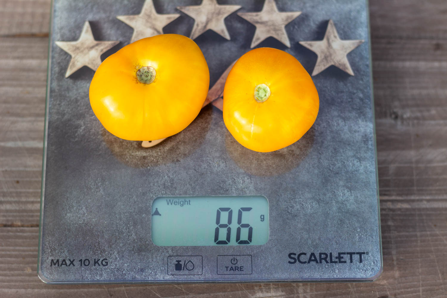 ДОРОГА ИЗ ЖЕЛТОГО КИРПИЧА Dwarf Yellow Brick Road — изображение 3