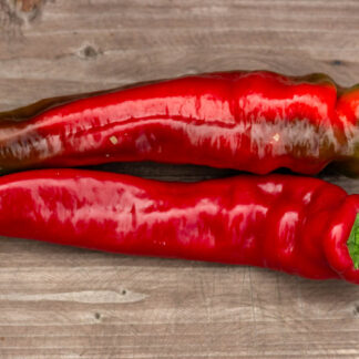 ДУНГАНСКИЙ