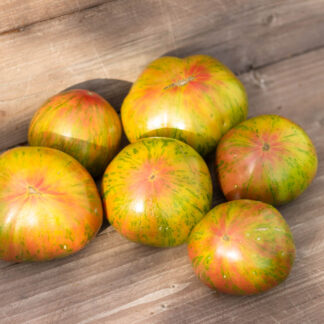 ДВУЦВЕТНЫЙ ЯРЛ Rojo-Verde ou Bicolore de Jarl