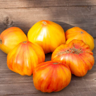 ПИТ ВАЙПЕР+ДОЛГОВЯЗАЯ САЛЛИ Dwarf Pit Viper+ Long Tall Sally