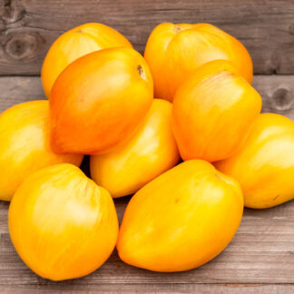 ДЫННЫЙ ЛИКЕР