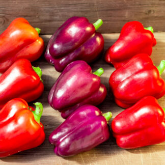 ФИОЛЕТОВЫЙ МИНИ-БЛОК Purple Miniblock