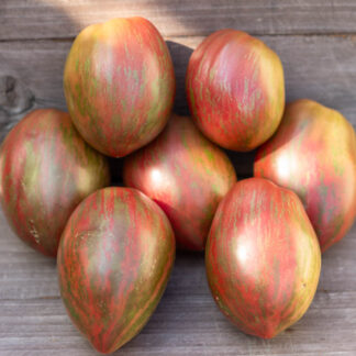 ФИОЛЕТОВЫЙ ДОЖДЬ Dwarf Purple Rain