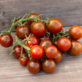 КАПУЧИНО Cappuccino