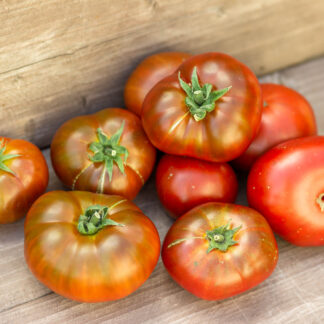 КАШТАНОВЫЙ ОПАЛ Dwarf Chestnut Opal