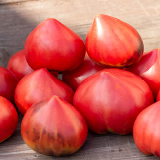 КЛУБНИЧНЫЙ СЕРЖАНТ