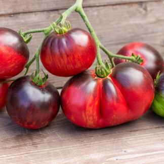 КЛУБНИЧНЫЙ ВОДОПАД ПОЛОСАТЫЙ