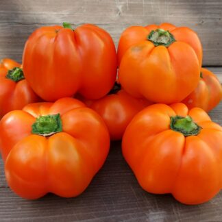 КОРБКИКЕР Korbkieker