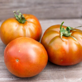 КОРОЛЬ АРАМИС Dwarf King Aramis